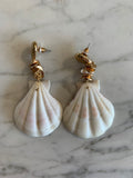 Sea Shell Earrings
